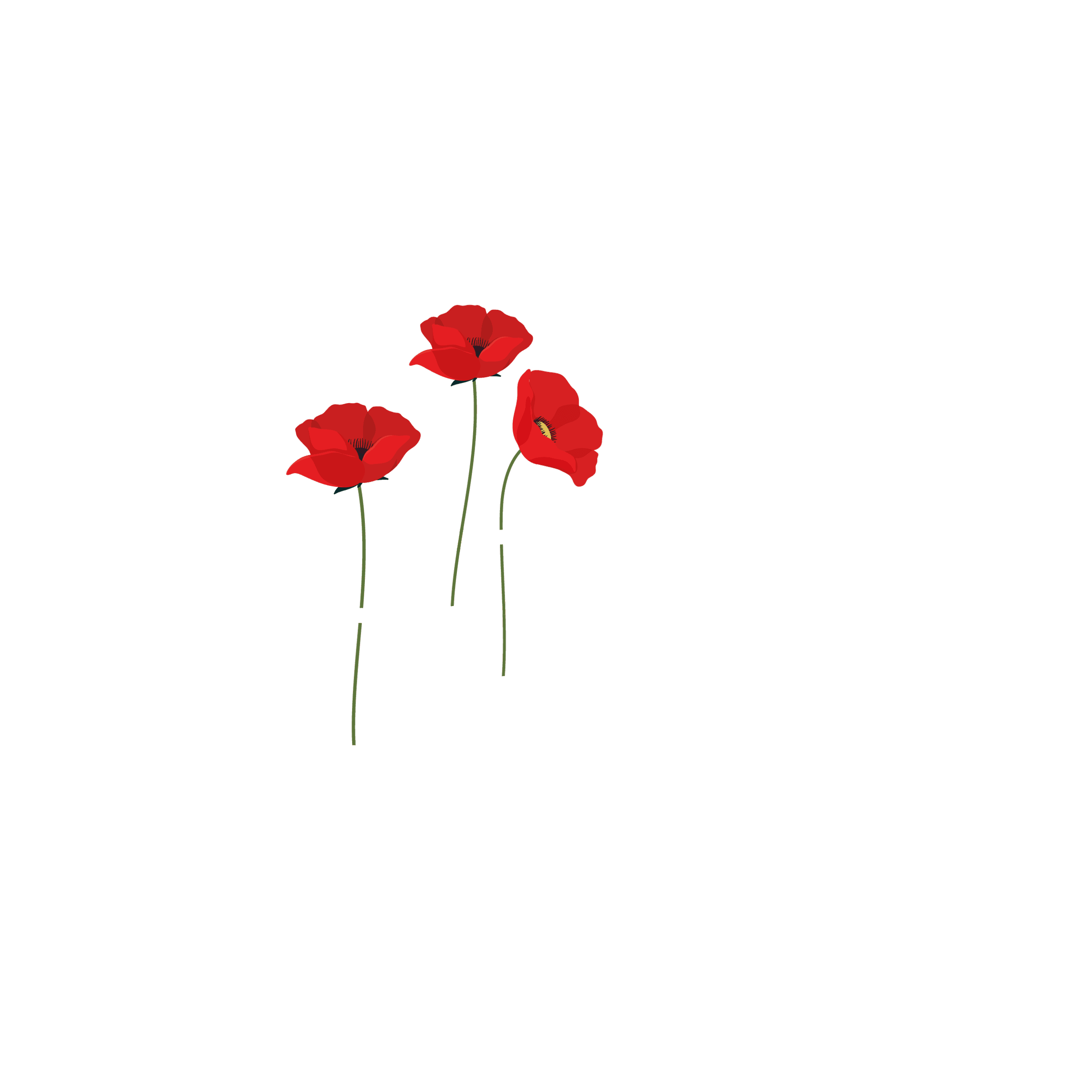 Free Palestine artwork — 2