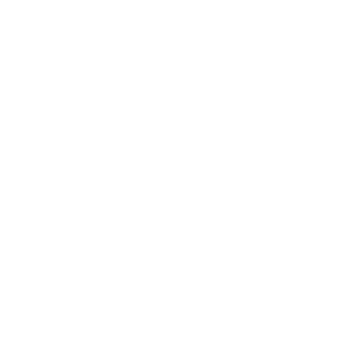Danyal Style logo