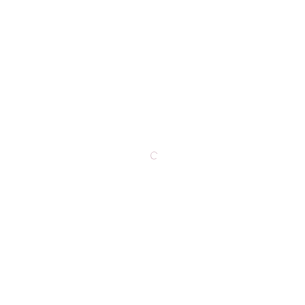 Pizza Napoli logo